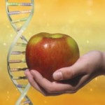 What Your Genes Want You To Eat